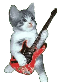 Cat GIF