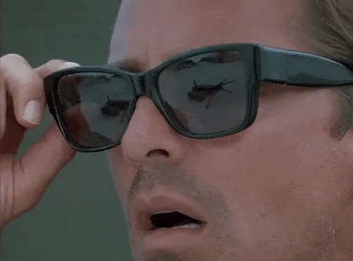 Miami Vice OMG GIF